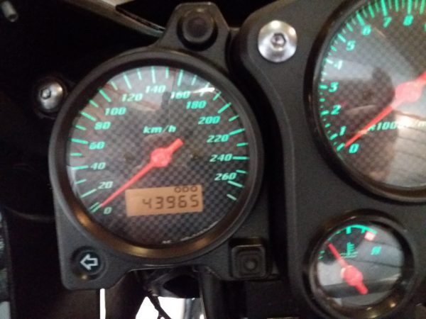 HONDA CB 600 F HORNET – Image 7