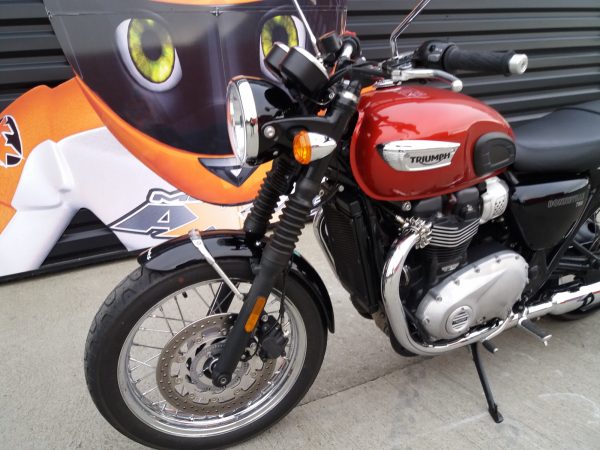 TRIUMPH T 100 – Image 2
