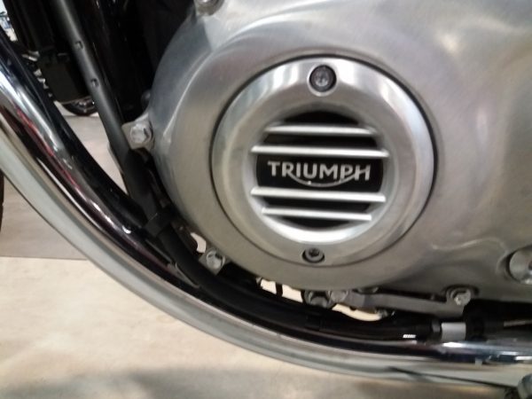 TRIUMPH T 100 – Image 13