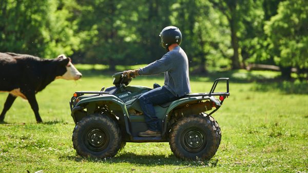 YAMAHA KODIAK 700 EPS – Image 3