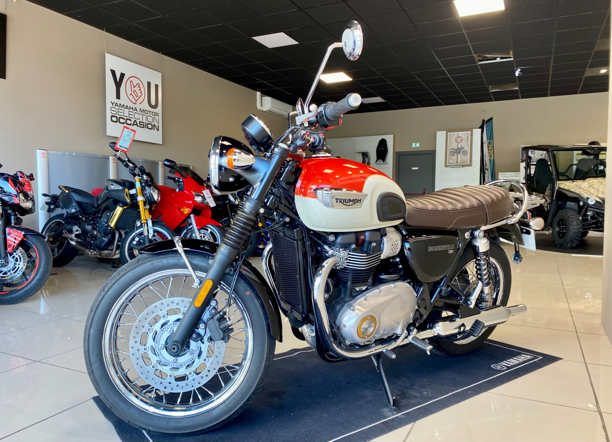 TRIUMPH Bonneville T100 – Image 2