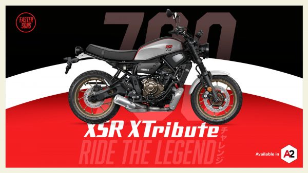YAMAHA XSR 700 XTRIBUTE – Image 2