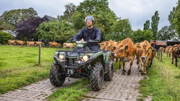 YAMAHA KODIAK 450 EPS – Image 5