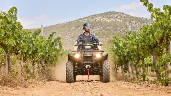 YAMAHA KODIAK 450 EPS – Image 2