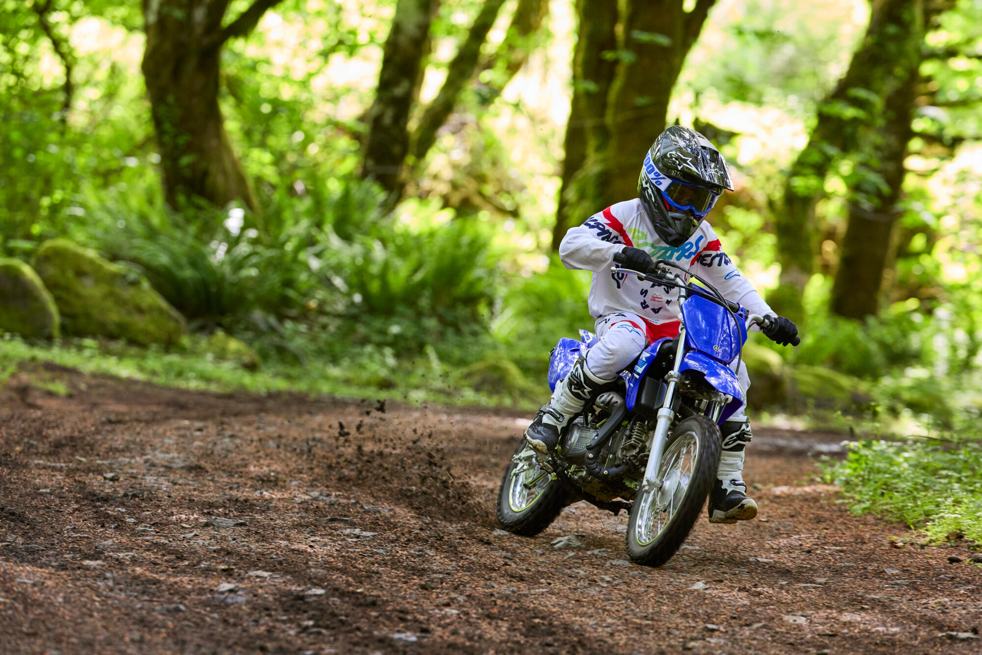 YAMAHA TT-R110 – Image 3