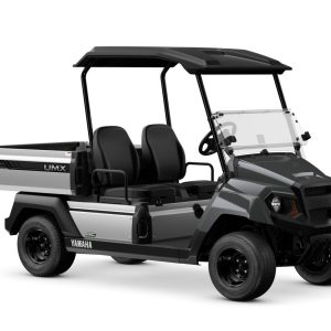YAMAHA UMX AC