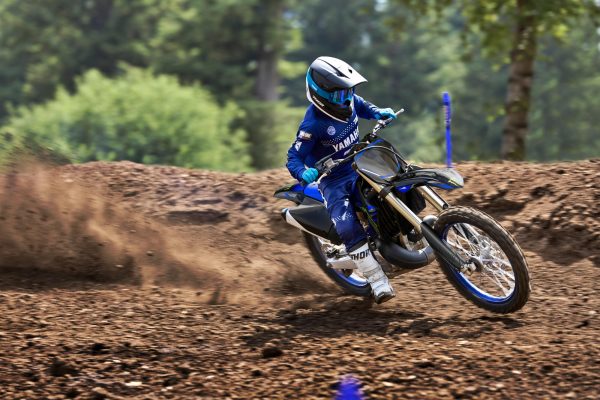 YAMAHA YZ250 MONSTER ENERGY – Image 3