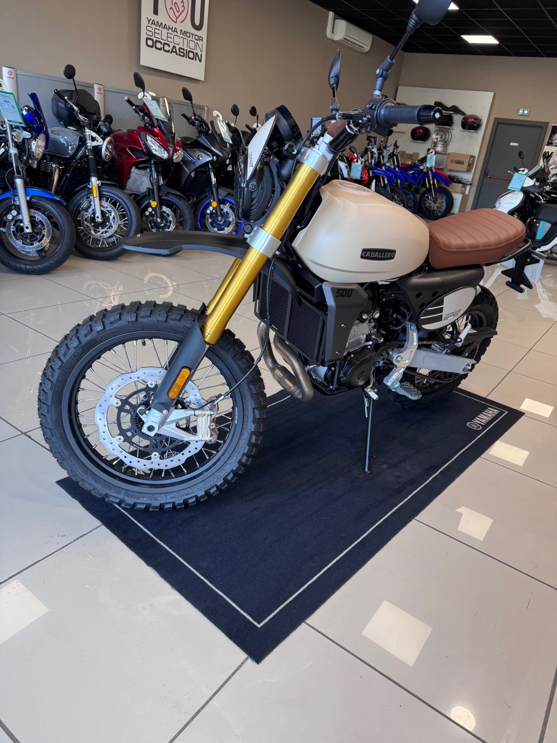 FANTIC CABALLERO 500 RALLY – Image 4